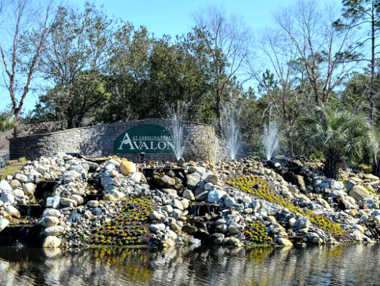 Avalon Homes Carolina Forest Real Estate