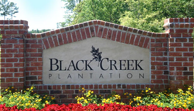 Black Creek Plantation Homes For Sale