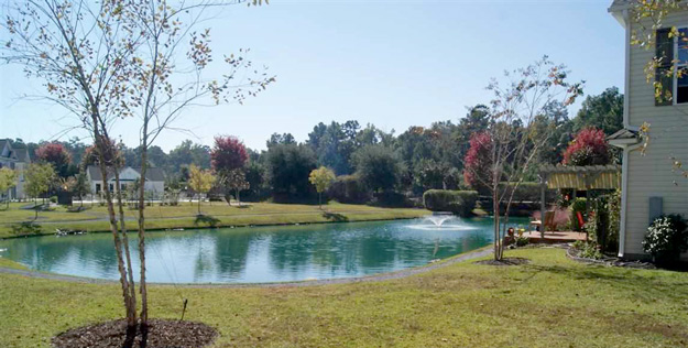 Cottages at Farrow Parkway Lake